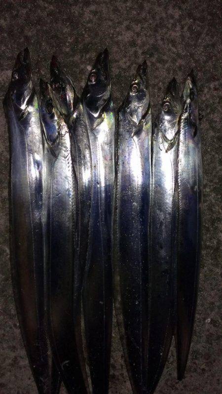 今季一番の釣果