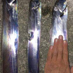 活性上がってる？