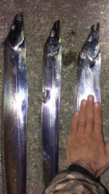 活性上がってる？