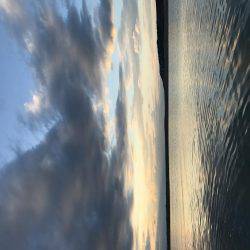 今日はメッキ調査