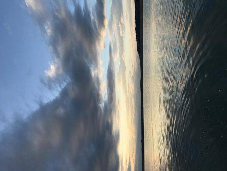 今日はメッキ調査