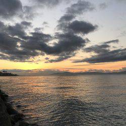 渋い中での一本