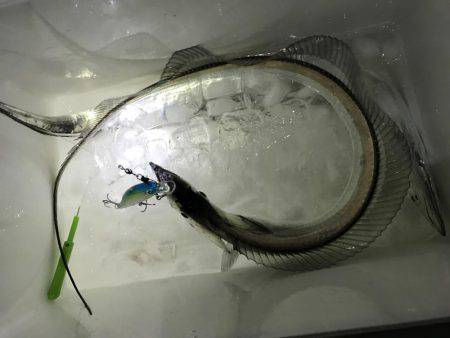 まだおったんか〜い