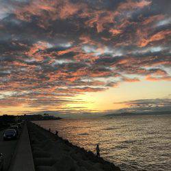 激渋の中での貴重な1匹