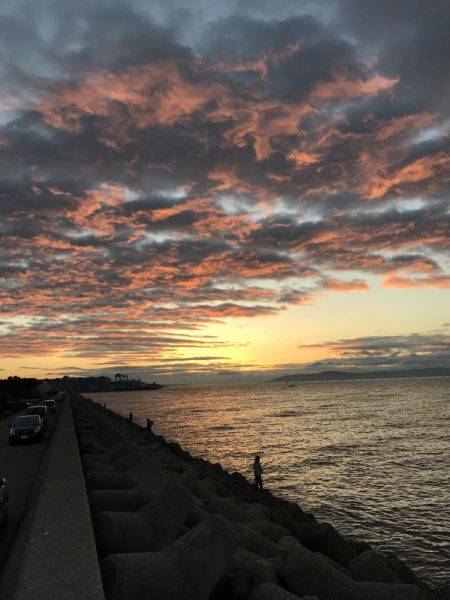 激渋の中での貴重な1匹