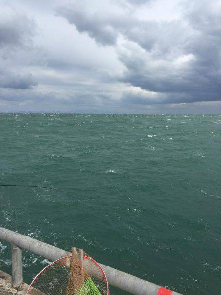 爆風、爆荒れ釣行