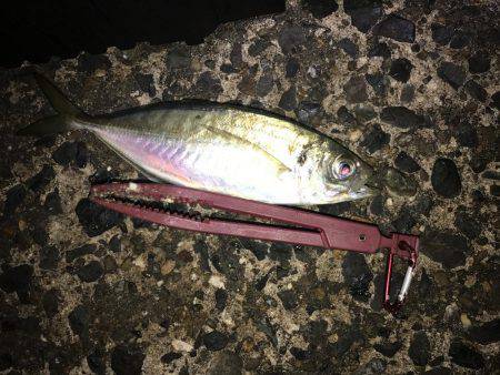 久しぶりにライト