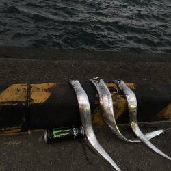 まだ少し居てます