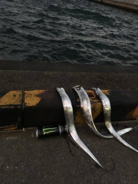 まだ少し居てます