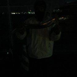 ようやく。。。。