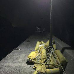 ガシラを何て言うのだろう？