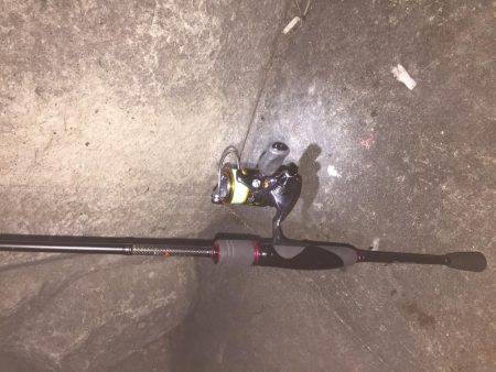 これから本番だー！