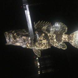 五目釣り達成❗️