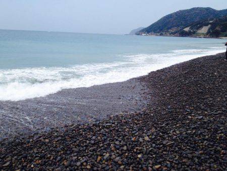 なんとかハマチ