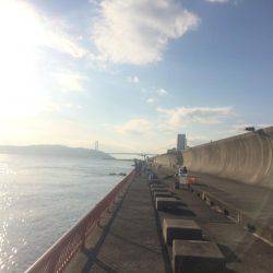 今日は投げ練（おみや付き）