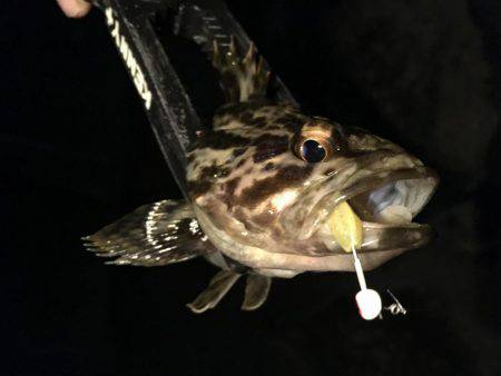 これぞライトゲーム。