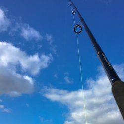 落ちギスファイナル？