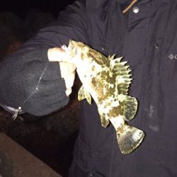 極寒プチメバリング