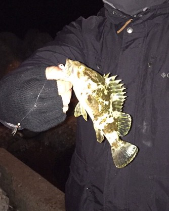 極寒プチメバリング