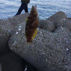 やっぱり楽しい(o^^o)