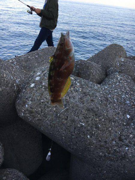 やっぱり楽しい(o^^o)