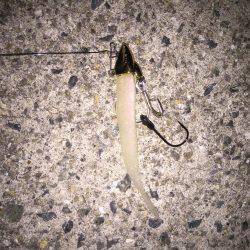 目指せドラゴン