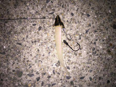 目指せドラゴン