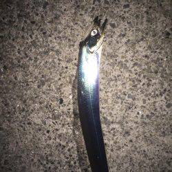 ドラゴンかな❓