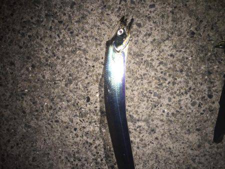 ドラゴンかな❓