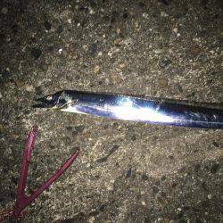 寒い:(´◦ω◦｀):