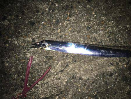 寒い:(´◦ω◦｀):