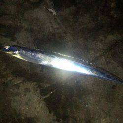 アジング&ショアジギ