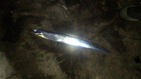 アジング&ショアジギ