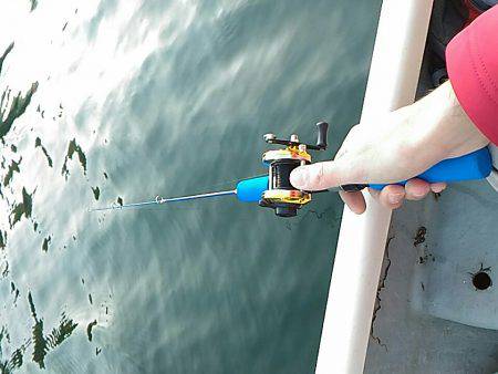 丹沢湖ボートではじめてのワカサギ釣り。