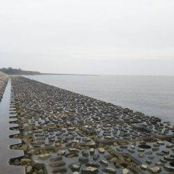 阿南市の那賀川河口テンヤでタチウオ