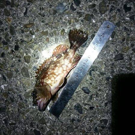 外側大荒れ小物狙いでガマン…