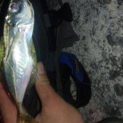 クリスマスプレゼントを釣りに！