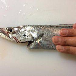 なんとか坊主は逃れたものの