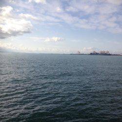 タチのみファイブ