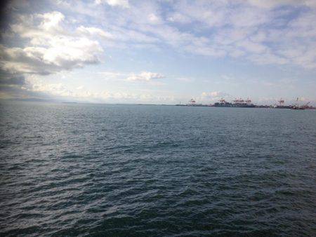 タチのみファイブ