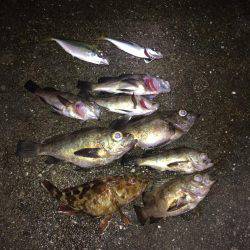 サーフメバリング