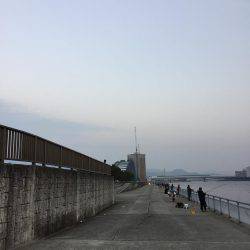 ドラゴン警報発令