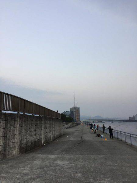 ドラゴン警報発令