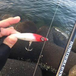 こいつで初めて？！