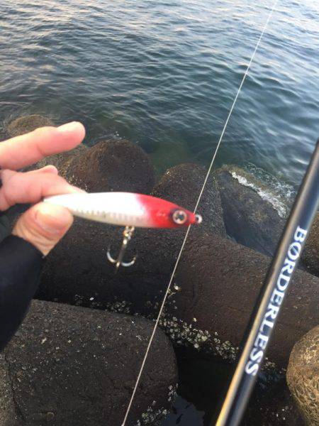 こいつで初めて？！