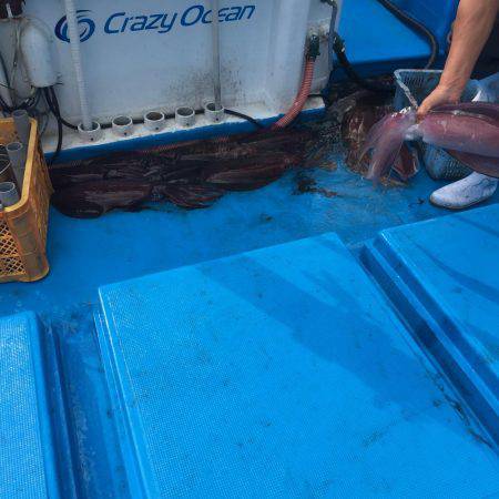 和歌山県串本レッドモンスター