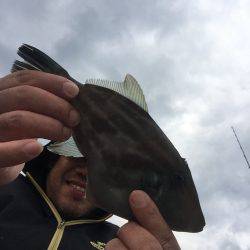 内浦湾でマイボートでハゲ釣り