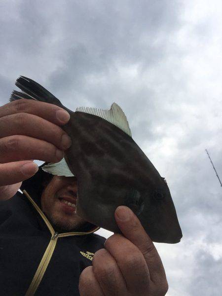 内浦湾でマイボートでハゲ釣り