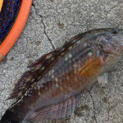 あったかかった〜♪