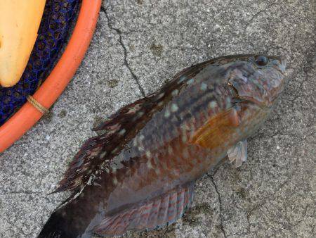 あったかかった〜♪